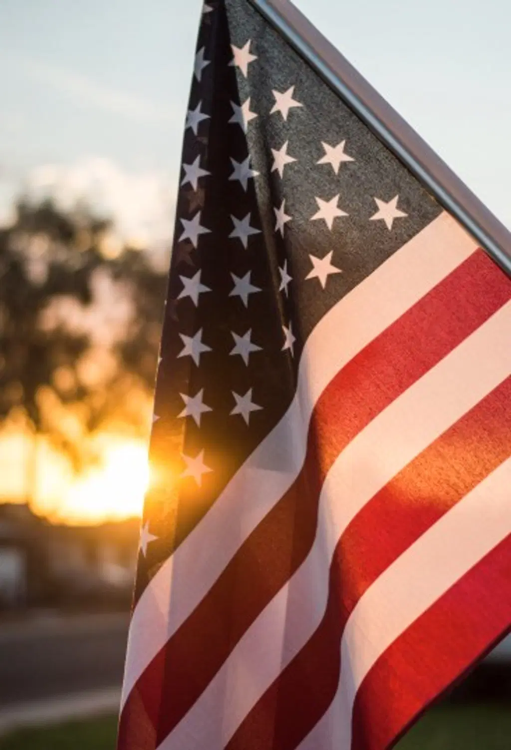 Fine's Gallery - July 4th Sale - Free Shipping - Marble